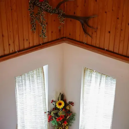 Holiday home Kings Valley Sunny Botesti *